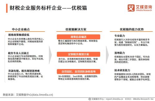 2021上半年中國財稅企業服務市場洞察 數字化驅動下的信息咨詢服務新格局